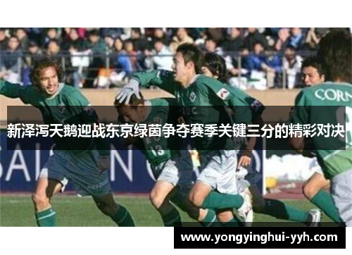 新泽泻天鹅迎战东京绿茵争夺赛季关键三分的精彩对决